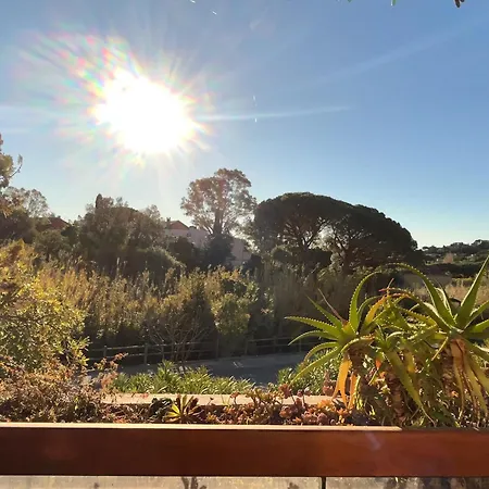 Apartment De Charme A Saint-clair : Terrasse, Proche Plage Et Commodites - Fr-1-677-44 *